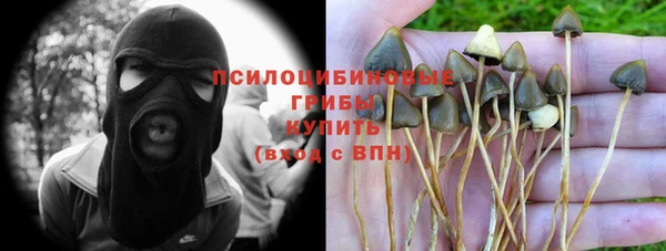 спайс Абинск
