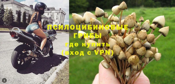 спиды Алексеевка